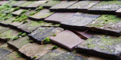 Trimsaran roof repair costs